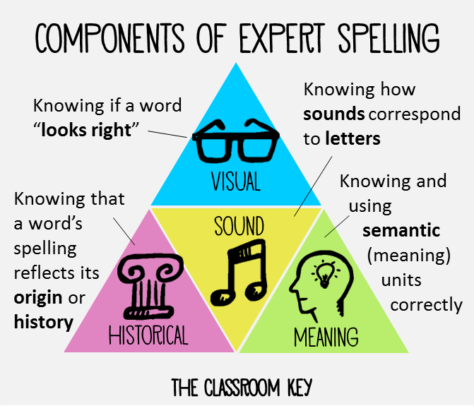 components of expert spelling