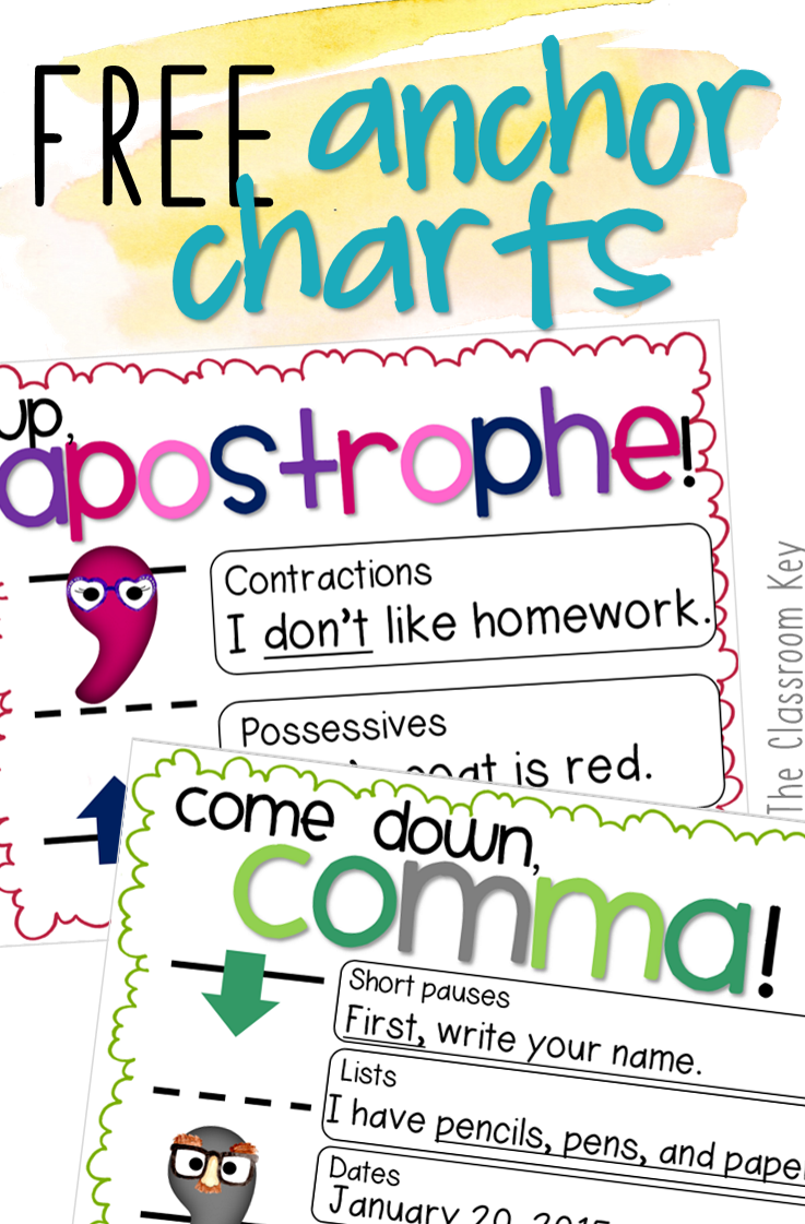 Possessive Anchor Chart