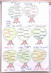 root words anchor chart, vocabulary instruction