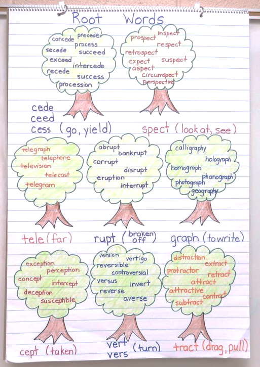 root words anchor chart, vocabulary instruction