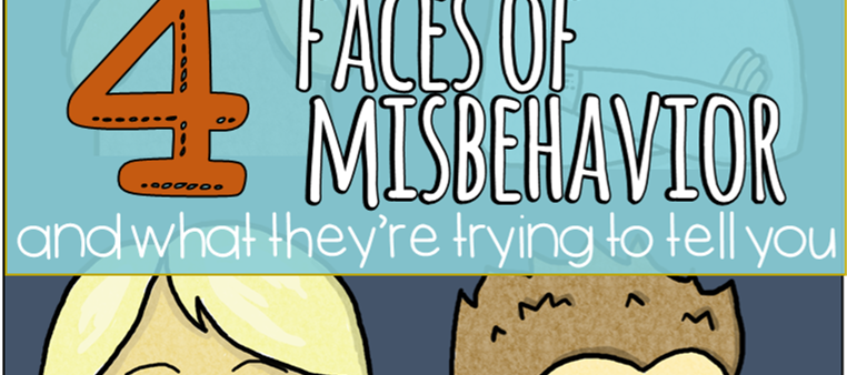 faces of misbehavior