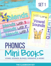 Teach phonics skills with these mini books. Each page features words lists for phonics patterns. Skills include, blends, digraphs, vowel sounds, glued sounds, CVCe patterns, and more. Idea for a first a second grade class