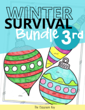 Winter Bundle 3rd Grade